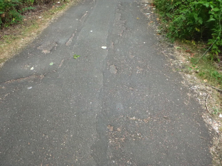 Hard surface trail that is patched - uneven surface - common in the park - lip on both sides to soft surface